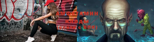 твердый Няндома