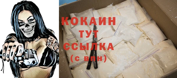 твердый Няндома