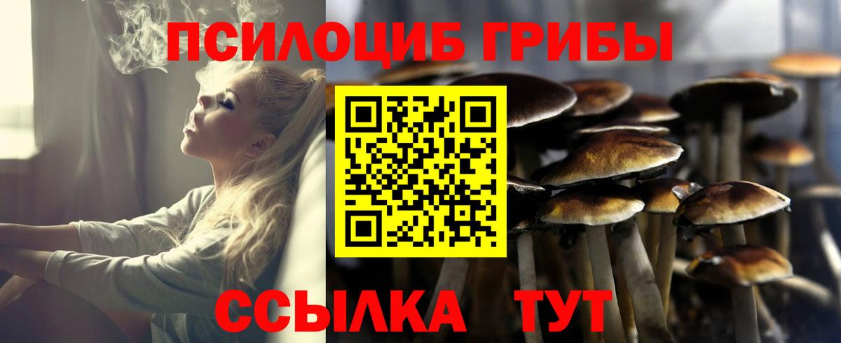 Галлюциногенные грибы MAGIC MUSHROOMS Кушва